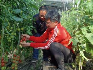 山东茌平:返乡青年为乡村振兴注入新动能