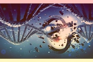 TCL科技:使用自有资金、自筹资金及其他筹资方式以集中竞价交易方式回购股